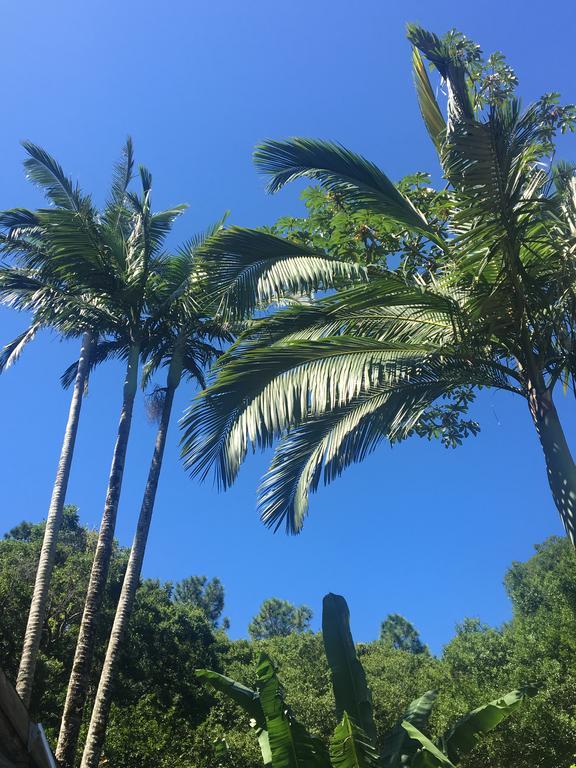 Pousada Jardim Da Lagoa Otel Florianópolis Dış mekan fotoğraf